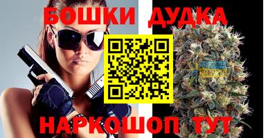 стаф Обь